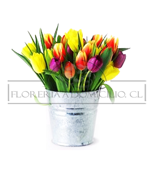 Tulipanes en Florero Galvanizado Primaveral 40 uni